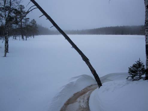 Snödimma